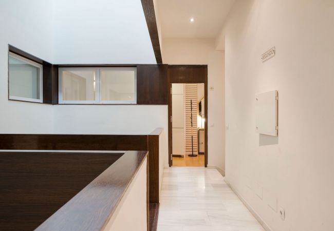 Apartment in Málaga - Larios - Holiday apartment Malaga City Apartment in Málaga - Larios - Holiday apartment Malaga City