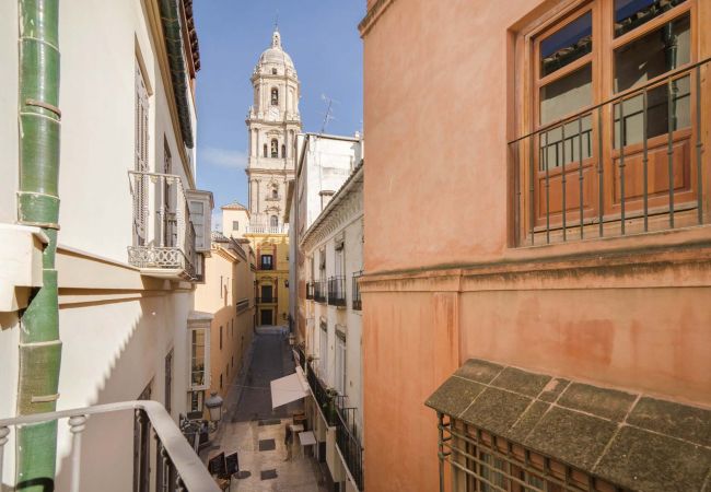 Apartment in Málaga - Larios - Holiday apartment Malaga City Apartment in Málaga - Larios - Holiday apartment Malaga City
