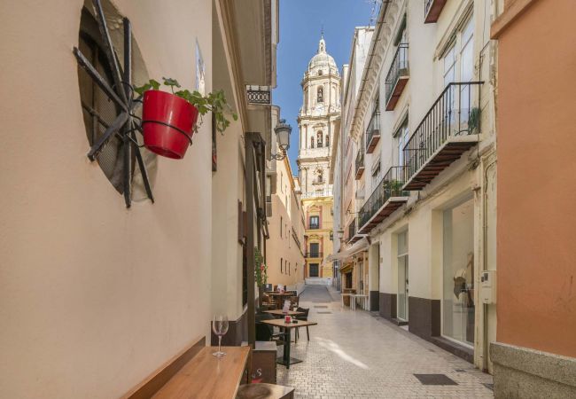 Apartment in Málaga - Larios - Holiday apartment Malaga City Apartment in Málaga - Larios - Holiday apartment Malaga City