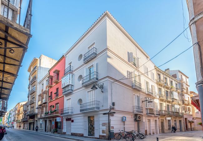 Apartment in Málaga - Merced I - Holiday apartment Malaga City Apartment in Málaga - Merced I - Holiday apartment Malaga City