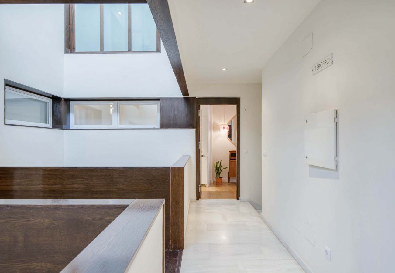 Apartment in Málaga - Teresa - Holiday apartment in Malaga Apartment in Málaga - Teresa - Holiday apartment in Malaga