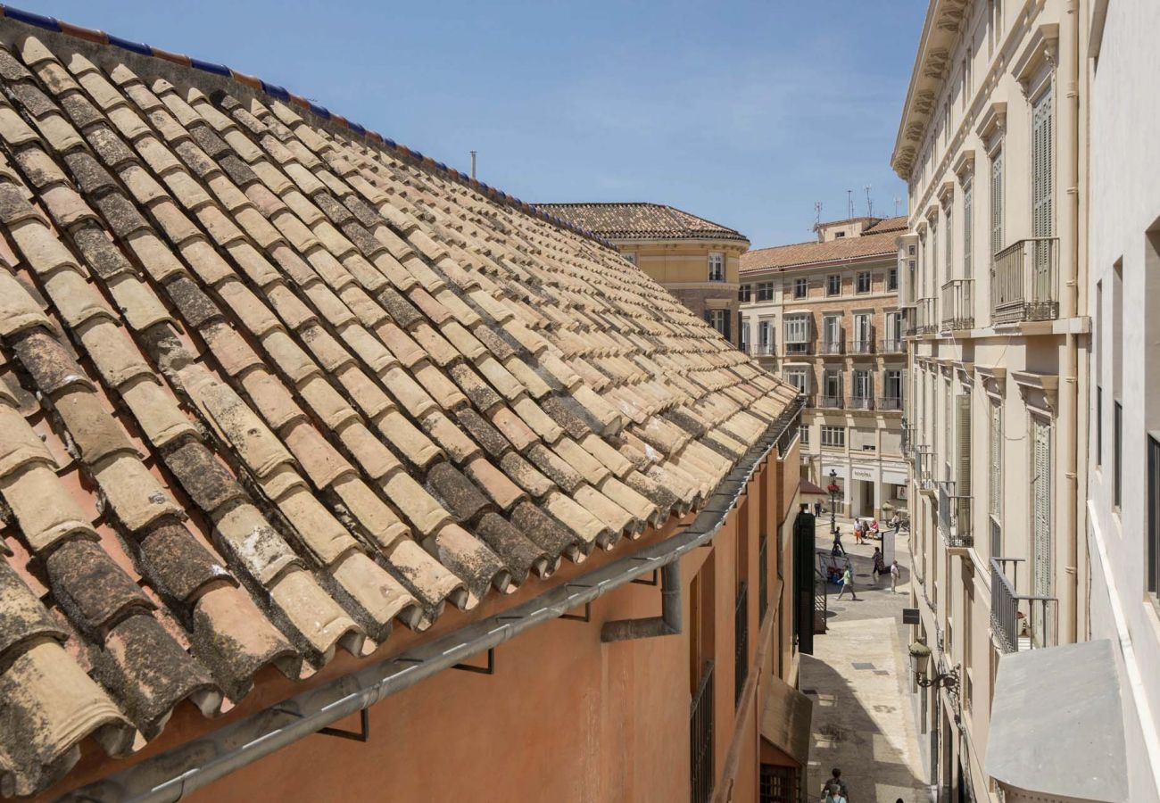 Apartment in Málaga - Teresa - Holiday apartment in Malaga Apartment in Málaga - Teresa - Holiday apartment in Malaga