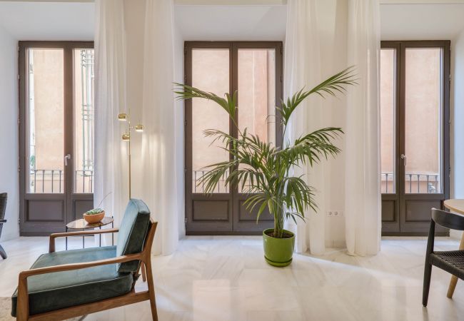Apartment in Málaga -  Cathedral - Holiday rental Malaga City Apartment in Málaga -  Cathedral - Holiday rental Malaga City