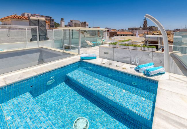  in Málaga - Noemi Centro - Penthouse in Malaga Centre