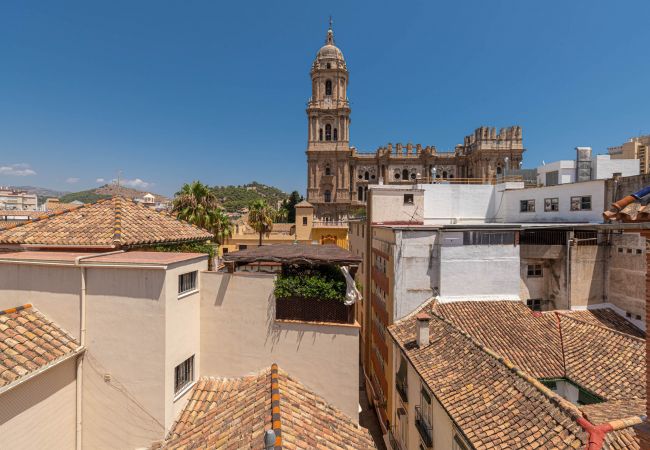 Apartment in Málaga - Laurel - Holiday Penthouse Malaga City Apartment in Málaga - Laurel - Holiday Penthouse Malaga City