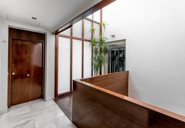 Apartment in Málaga - Laurel - Holiday Penthouse Malaga City Apartment in Málaga - Laurel - Holiday Penthouse Malaga City