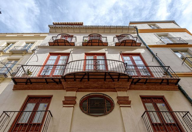 Apartment in Málaga - Granados  - Holiday apartment Malaga City Apartment in Málaga - Granados  - Holiday apartment Malaga City