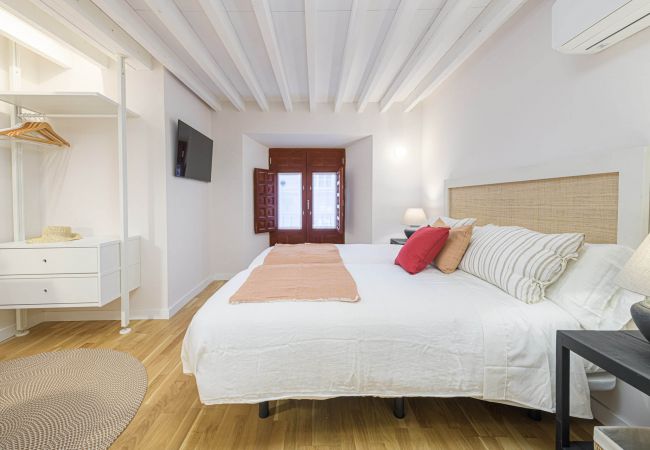 Apartment in Málaga - De Falla - holiday rental Malaga city Apartment in Málaga - De Falla - holiday rental Malaga city