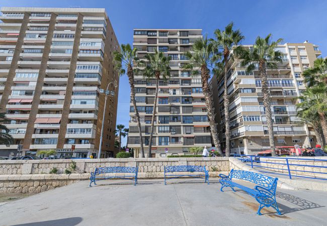 Apartment in Málaga - Mediterraneo - Holiday rental Malaga City Apartment in Málaga - Mediterraneo - Holiday rental Malaga City