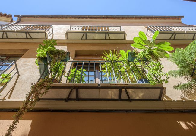 Apartment in Málaga - Pozos Dulces - Holiday apartment Malaga City Apartment in Málaga - Pozos Dulces - Holiday apartment Malaga City