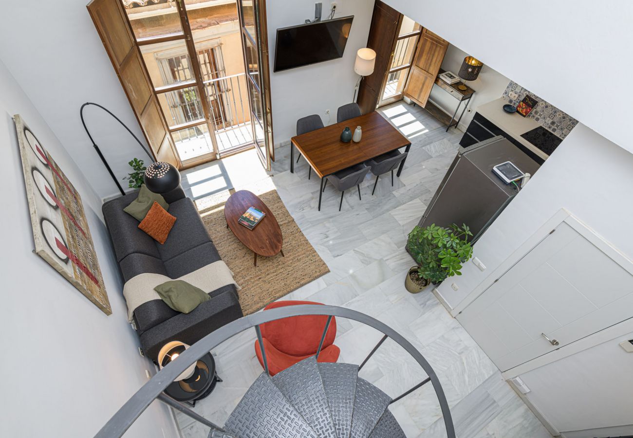 Apartment in Málaga - Pozos Dulces - Holiday apartment Malaga City Apartment in Málaga - Pozos Dulces - Holiday apartment Malaga City