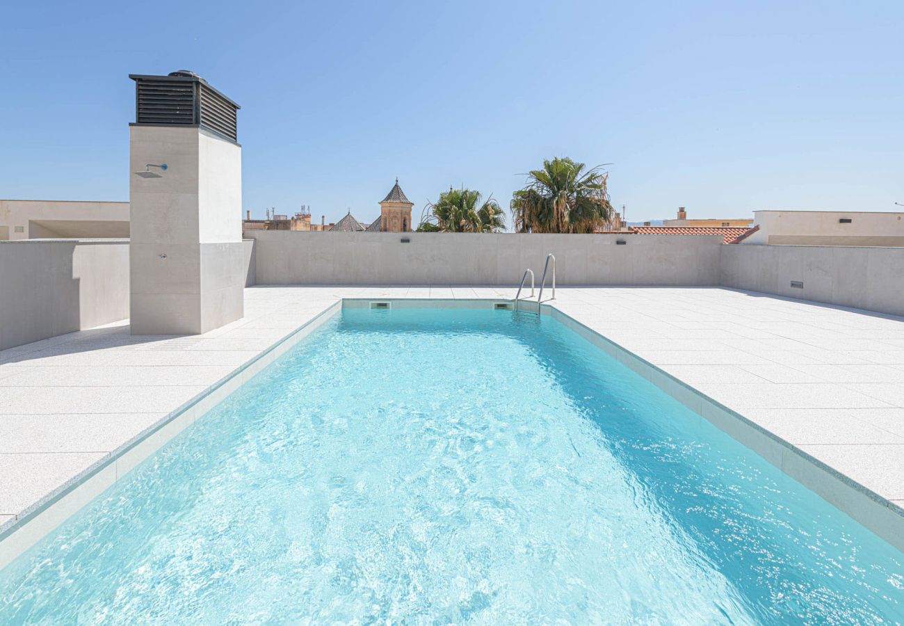 Apartment in Málaga - Alta - Holiday Apartment in Malaga City Apartment in Málaga - Alta - Holiday Apartment in Malaga City